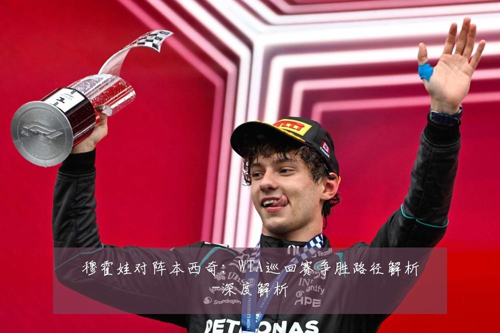 穆霍娃对阵本西奇:WTA巡回赛争胜路径解析-深度解析